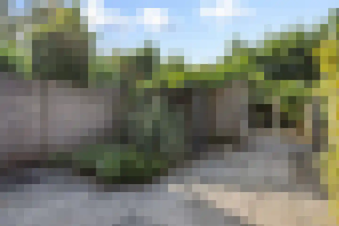Vlasakker 16 Nuland thumbnail 31