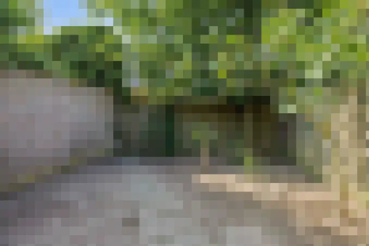 Vlasakker 16 Nuland thumbnail 34