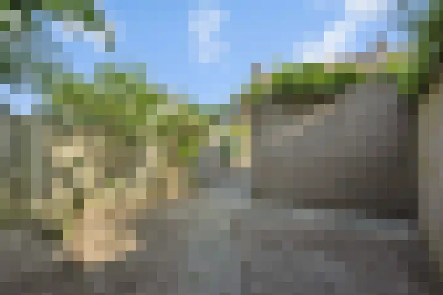Vlasakker 16 Nuland thumbnail 35