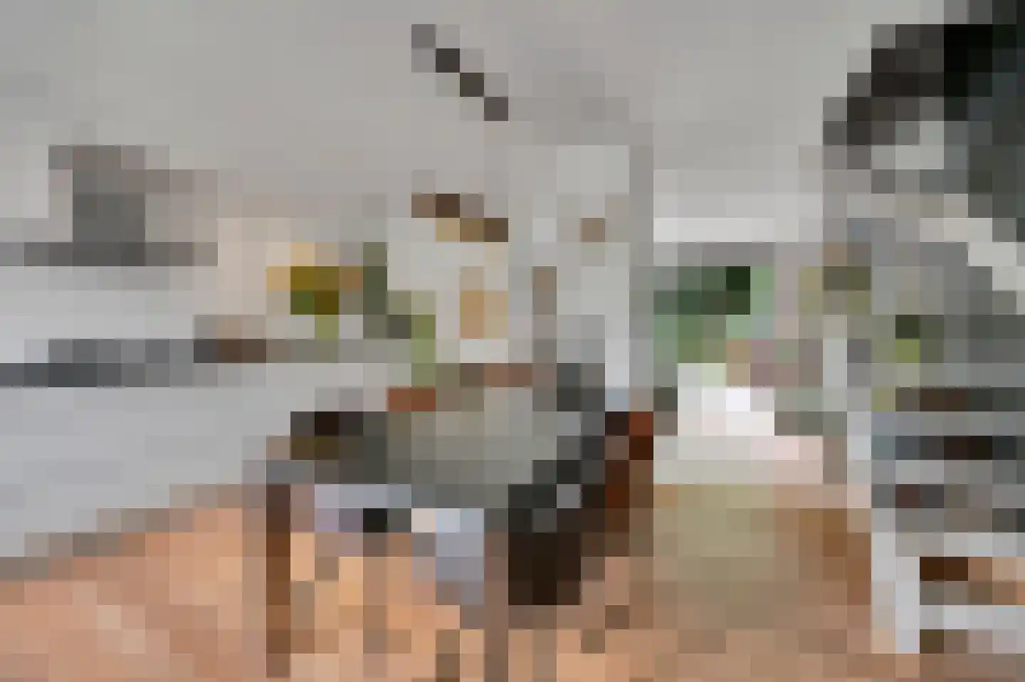 Vlasakker 17 Zoetermeer thumbnail 13
