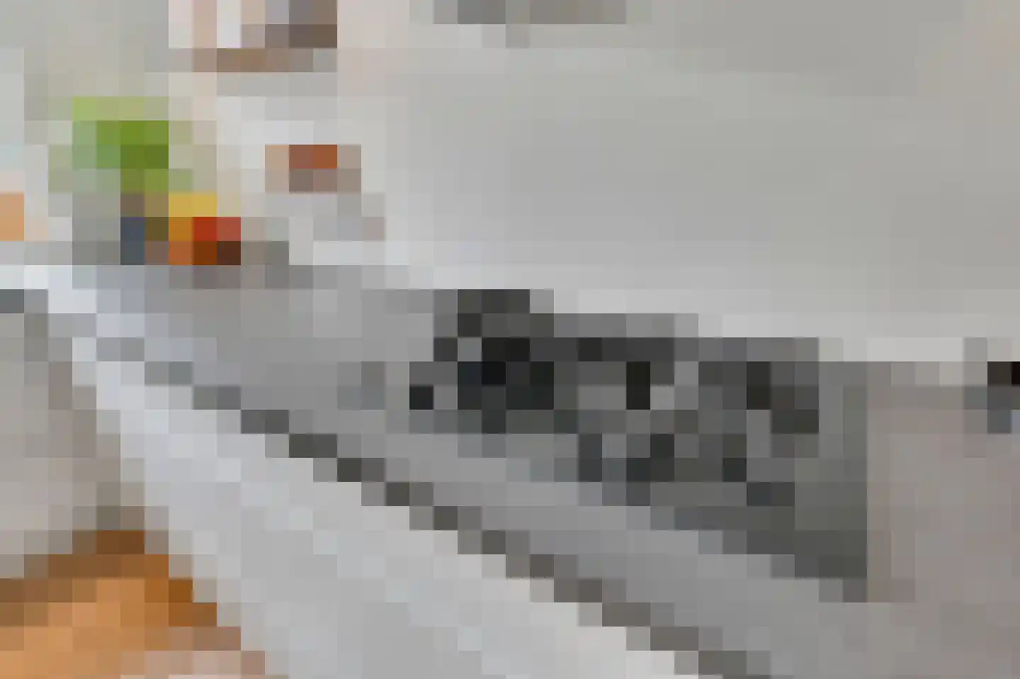 Vlasakker 17 Zoetermeer thumbnail 14