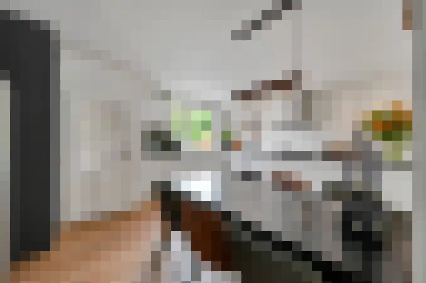Vlasakker 17 Zoetermeer thumbnail 15