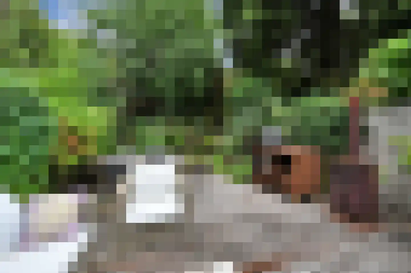 Vlasakker 17 Zoetermeer thumbnail 20