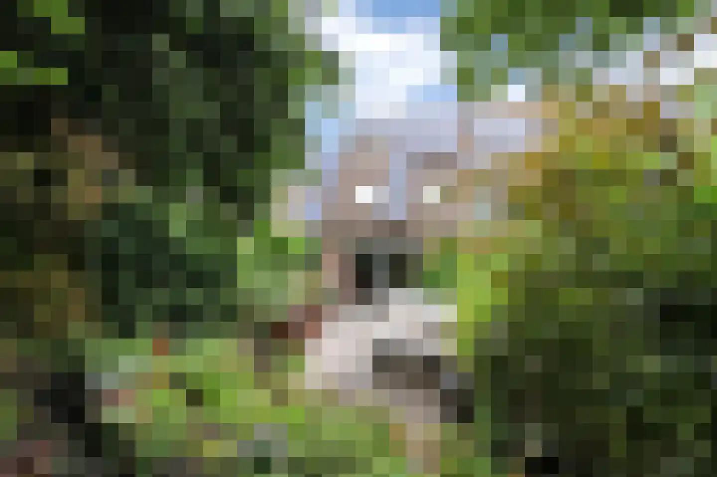 Vlasakker 17 Zoetermeer thumbnail 22