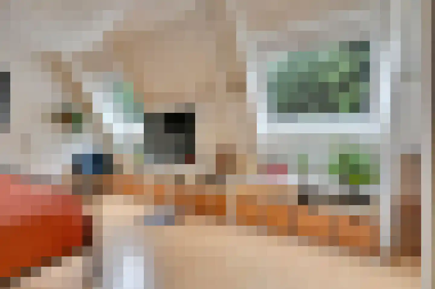 Vlasakker 17 Zoetermeer thumbnail 24
