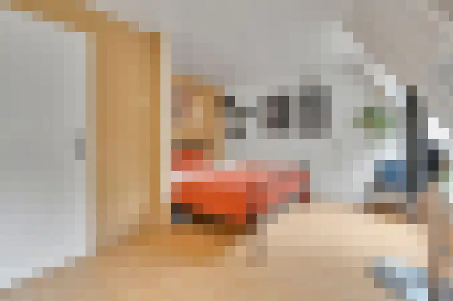 Vlasakker 17 Zoetermeer thumbnail 26