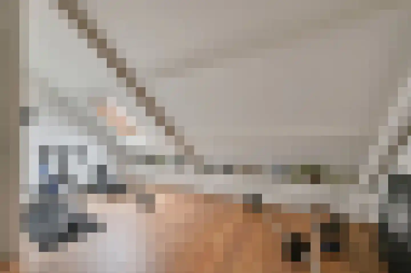 Vlasakker 17 Zoetermeer thumbnail 35