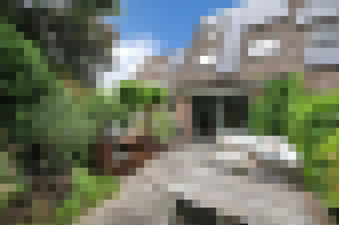 Vlasakker 17 Zoetermeer thumbnail 4
