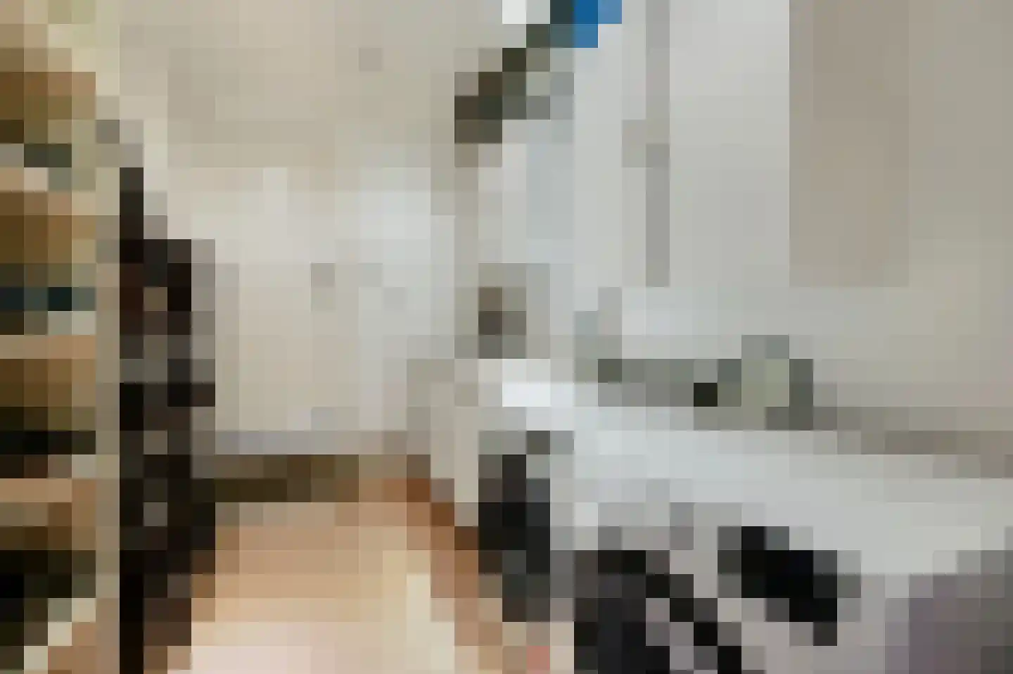 Vlasakker 17 Zoetermeer thumbnail 40