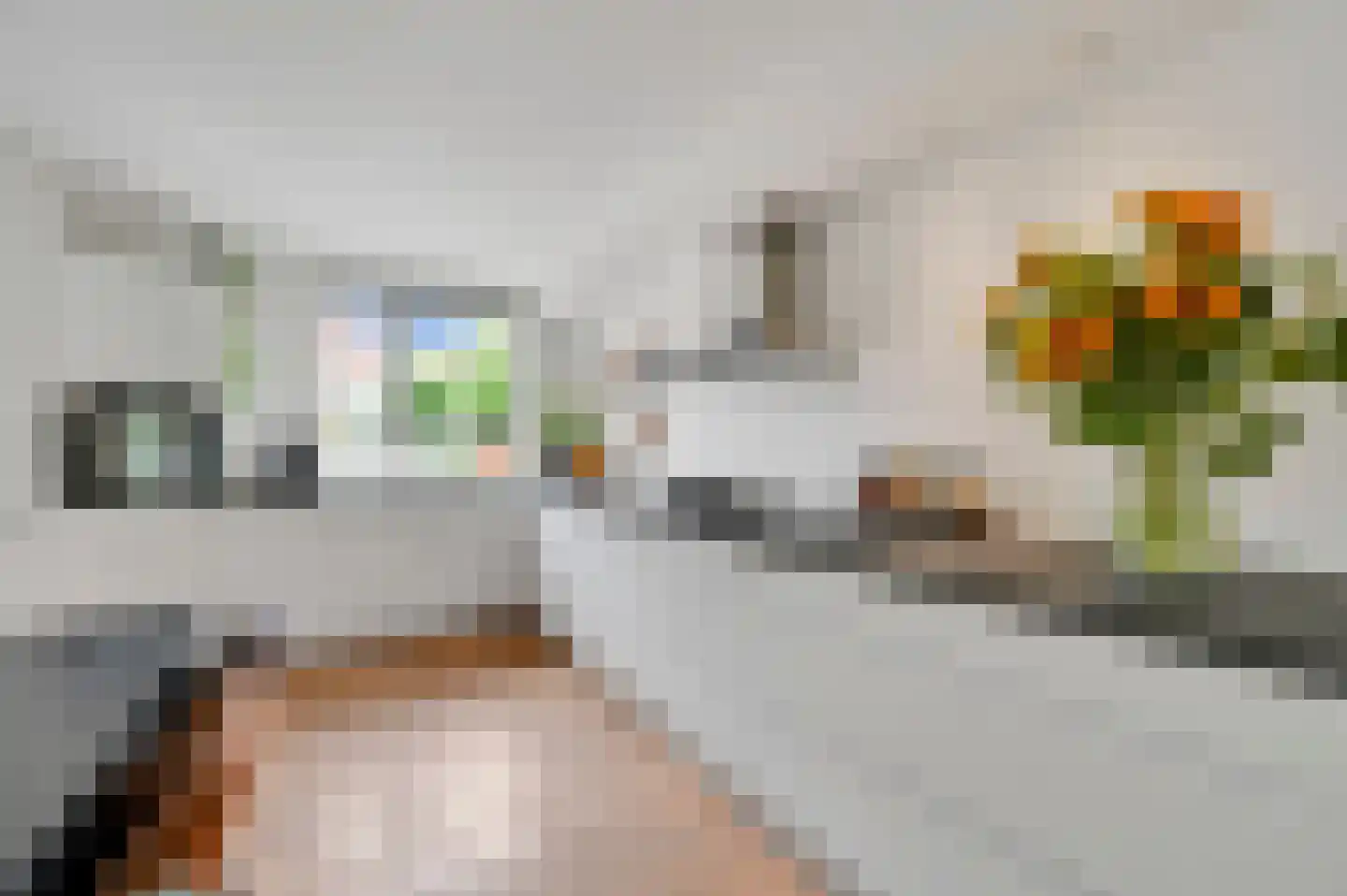 Vlasakker 17 Zoetermeer thumbnail 5