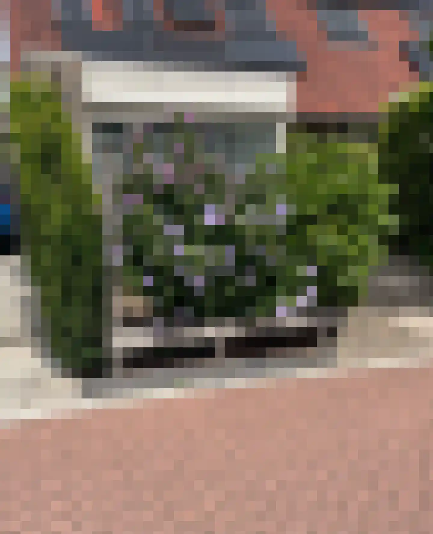 Vlasakker 19 Schiedam thumbnail 6