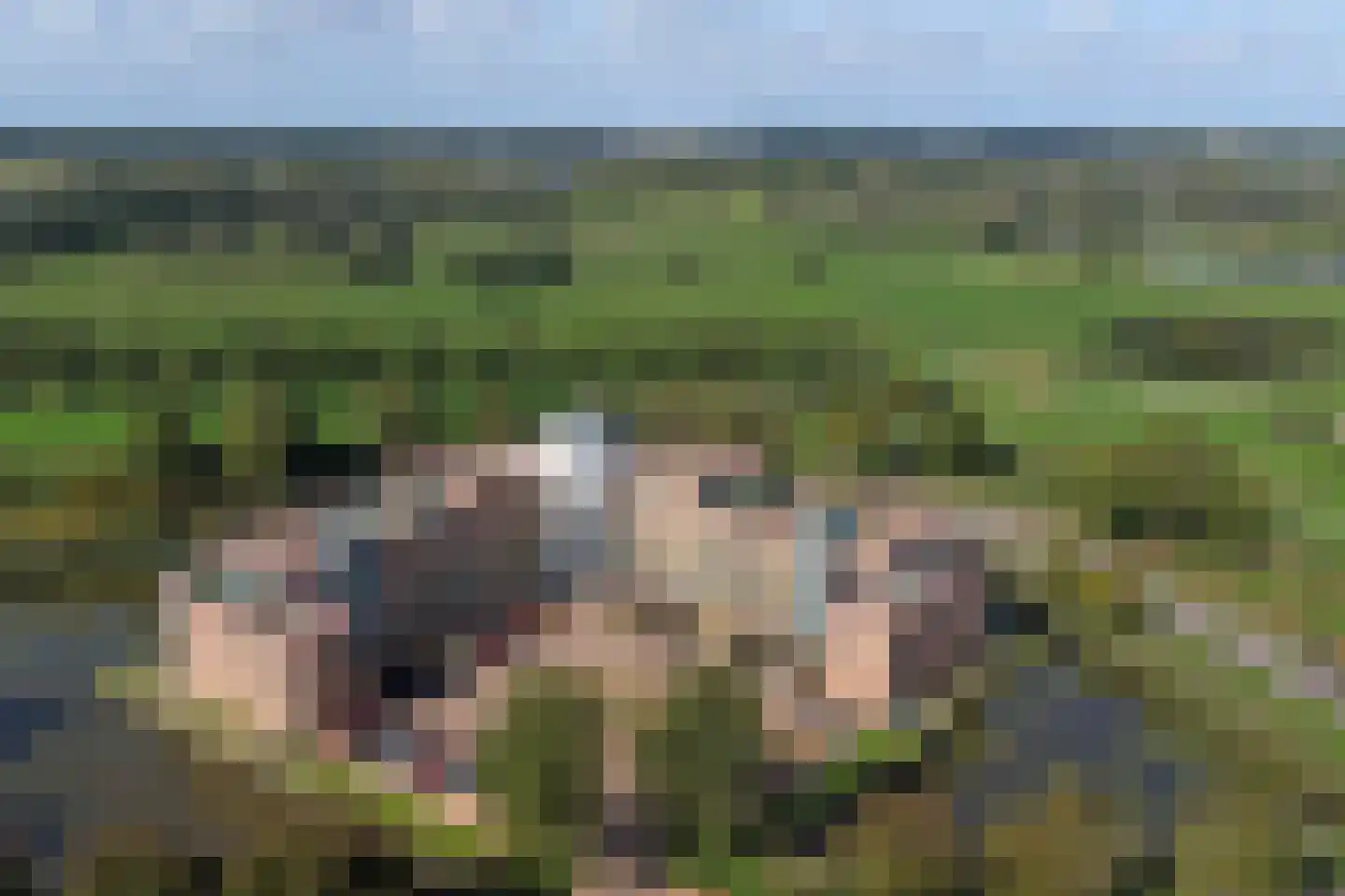 Vlasakker 20 Hendrik-Ido-Ambacht thumbnail 28