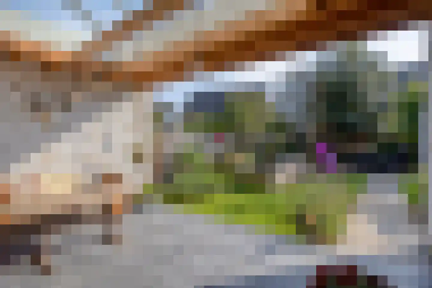 Vlasakker 24 Nuland thumbnail 35