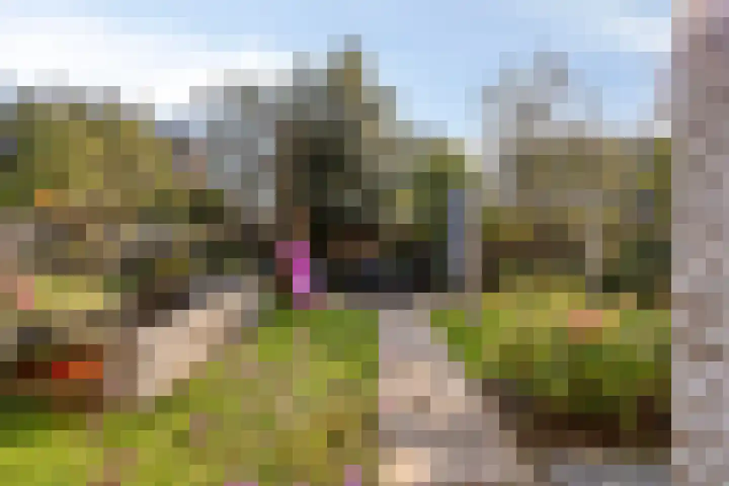 Vlasakker 24 Nuland thumbnail 37
