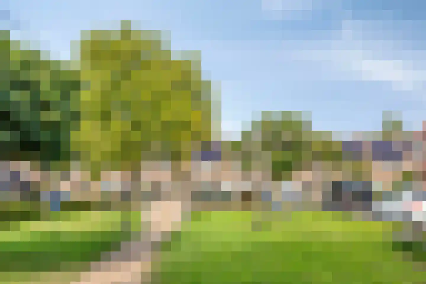 Vlasakker 24 Nuland thumbnail 47