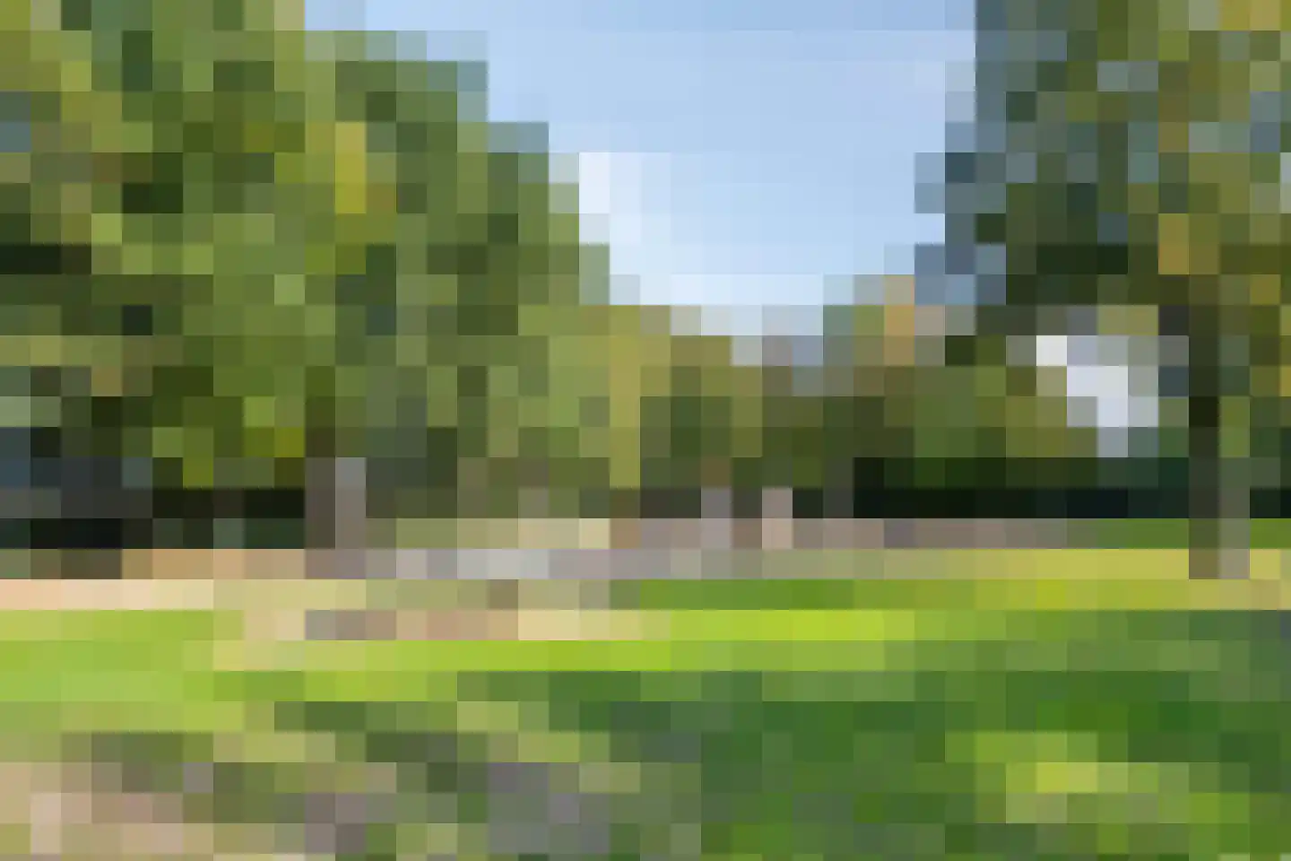 Vlasakker 24 Nuland thumbnail 50
