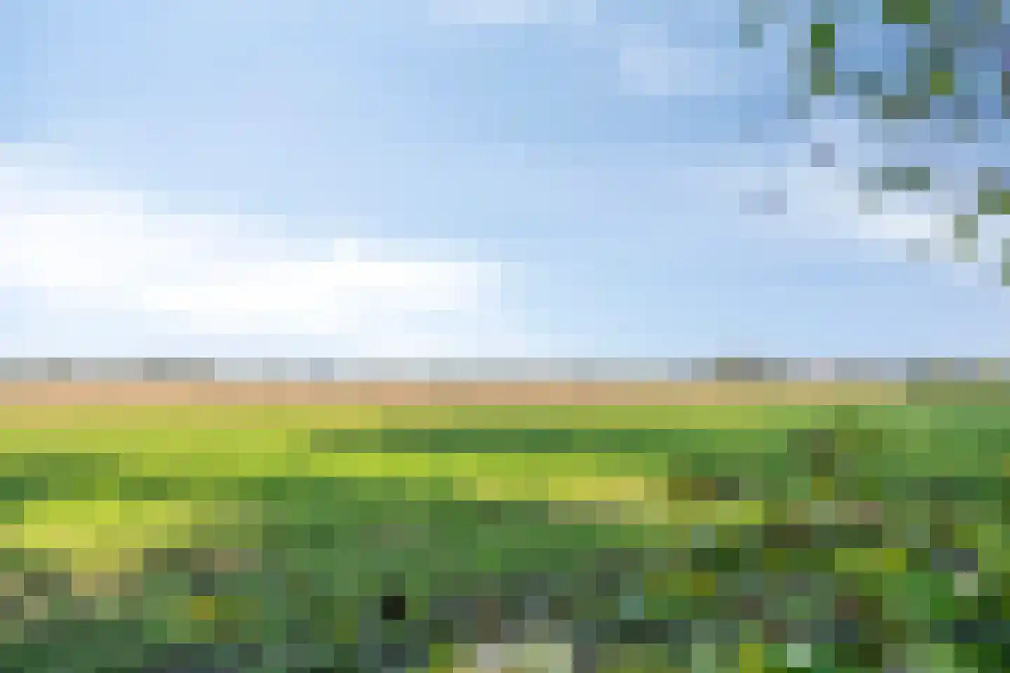 Vlasakker 24 Nuland thumbnail 52