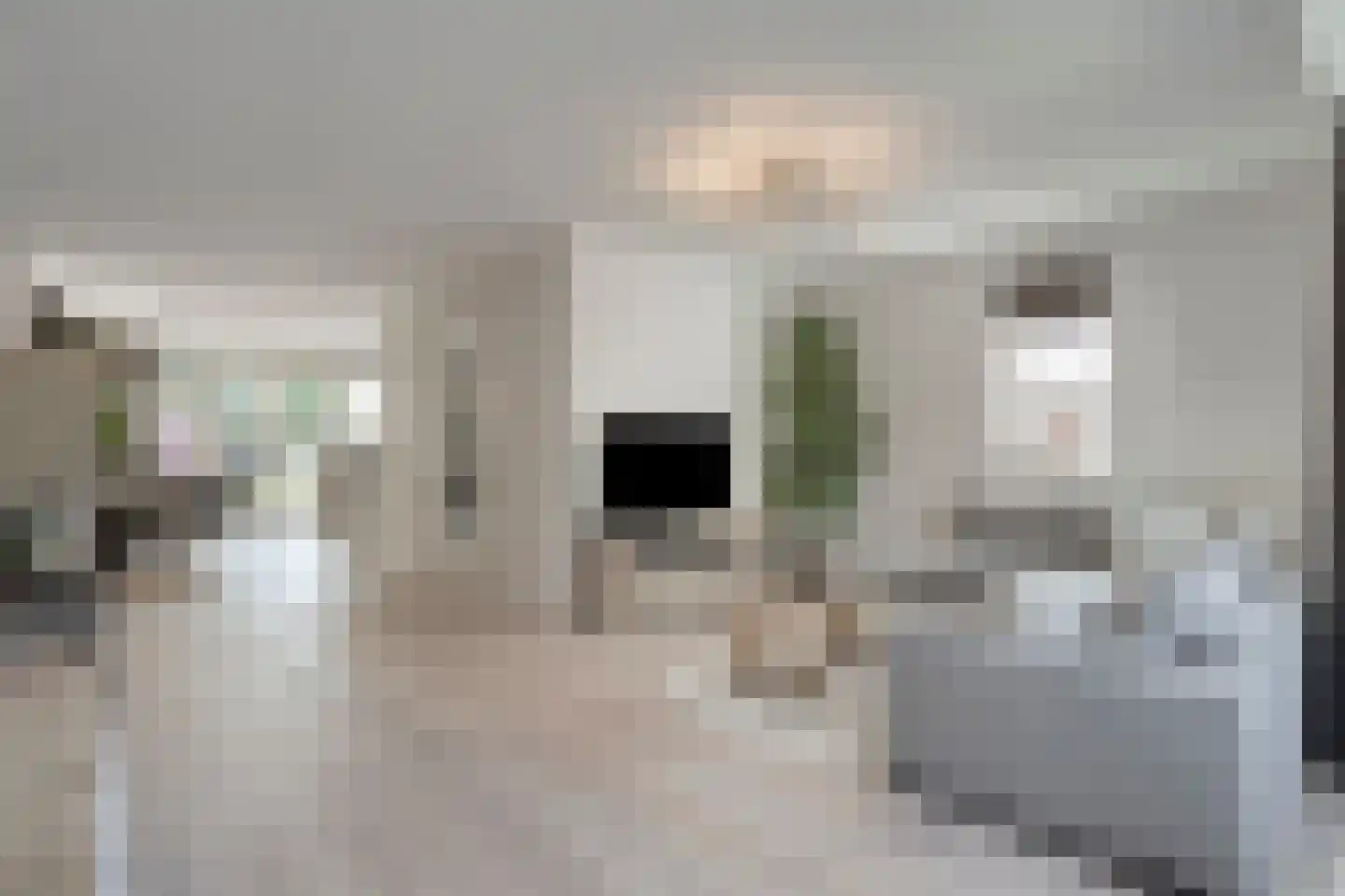 Vlasakker 24 Nuland thumbnail 8