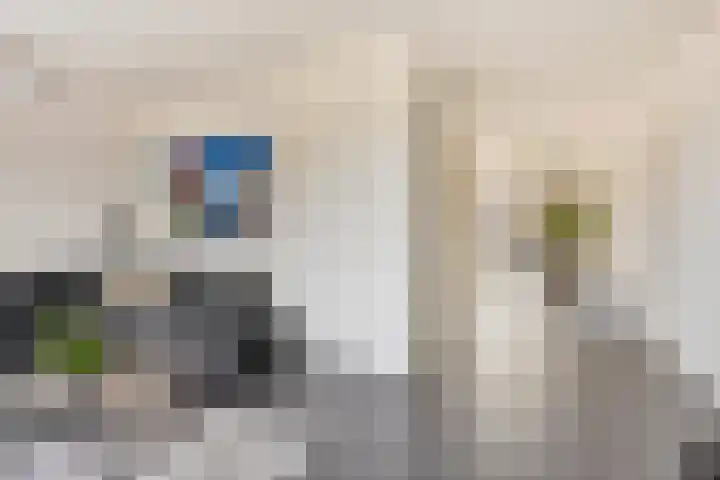 Vlasakker 28 Heino thumbnail 12