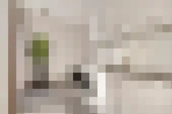 Vlasakker 28 Heino thumbnail 14