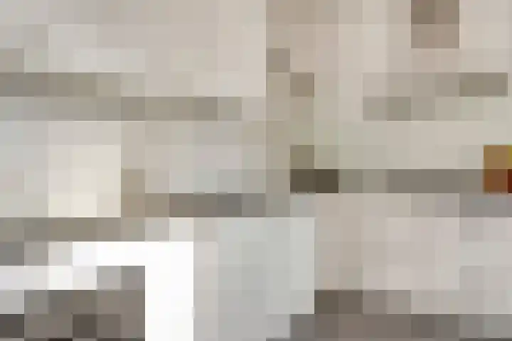 Vlasakker 28 Heino thumbnail 17