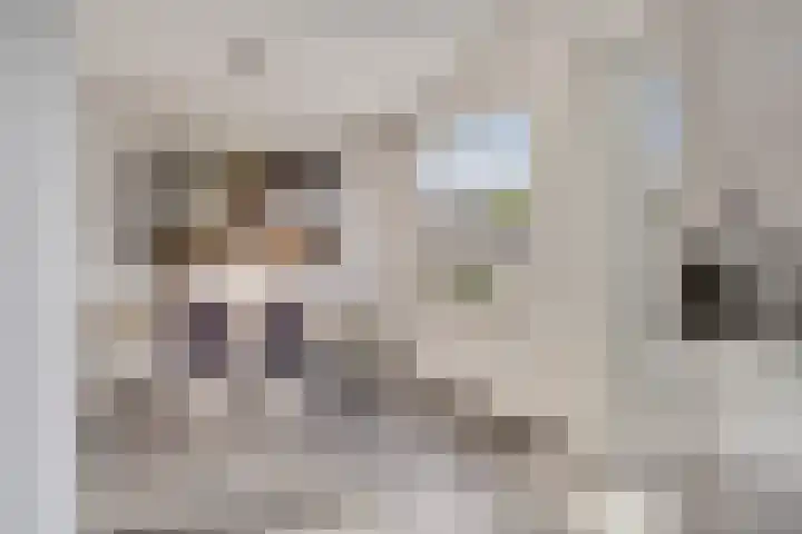 Vlasakker 28 Heino thumbnail 19