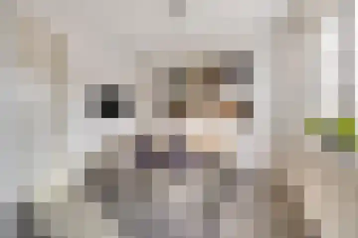 Vlasakker 28 Heino thumbnail 20