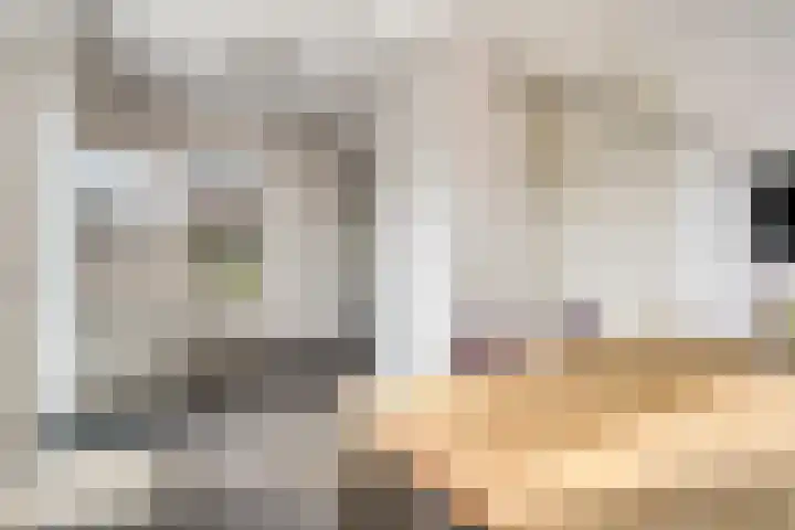 Vlasakker 28 Heino thumbnail 21