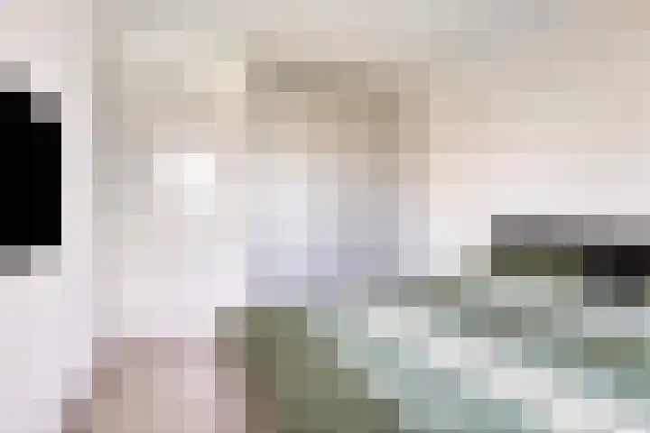 Vlasakker 28 Heino thumbnail 25