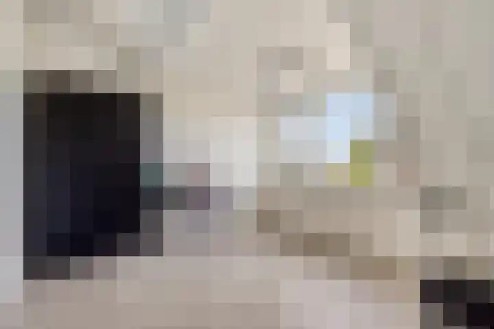 Vlasakker 28 Heino thumbnail 33