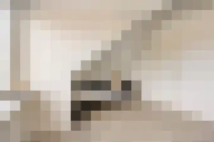 Vlasakker 28 Heino thumbnail 34