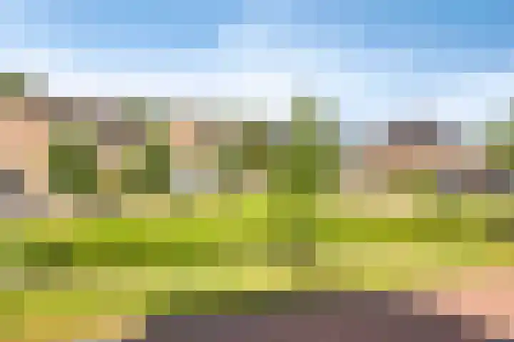 Vlasakker 28 Heino thumbnail 36