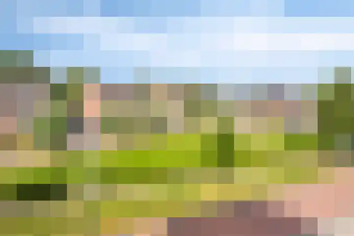 Vlasakker 28 Heino thumbnail 37