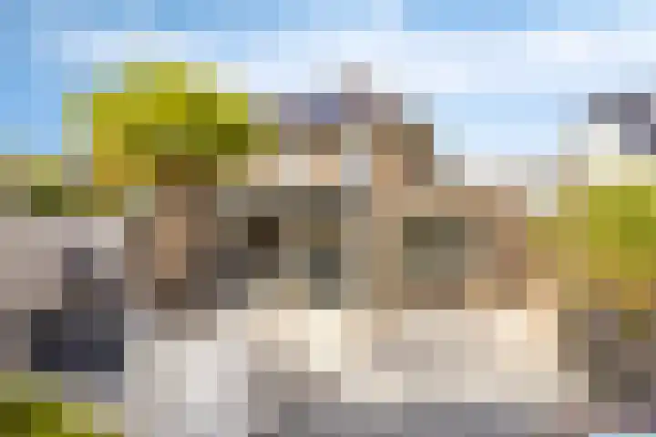 Vlasakker 28 Heino thumbnail 41