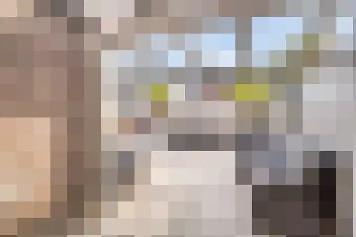 Vlasakker 28 Heino thumbnail 43