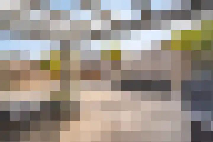 Vlasakker 28 Heino thumbnail 44