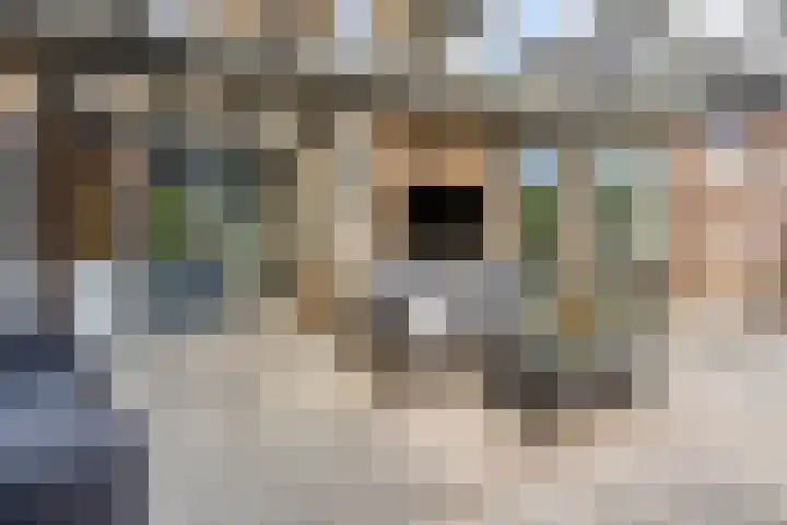 Vlasakker 28 Heino thumbnail 45
