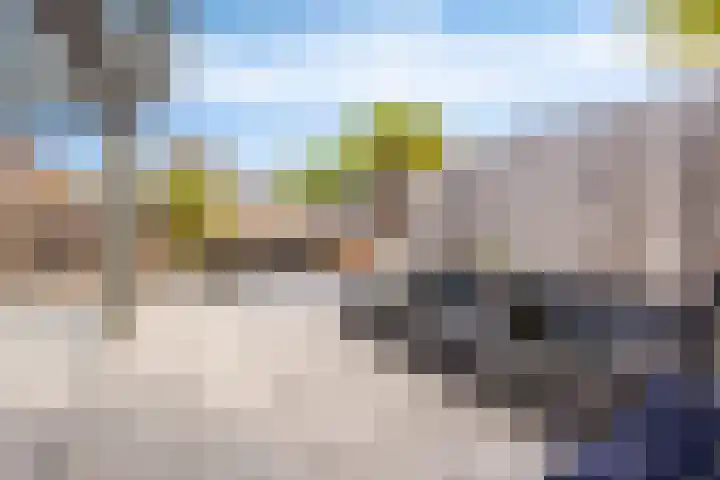 Vlasakker 28 Heino thumbnail 46