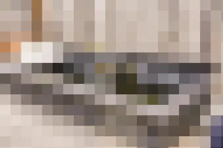 Vlasakker 28 Heino thumbnail 47