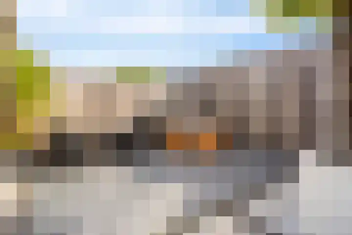 Vlasakker 28 Heino thumbnail 48