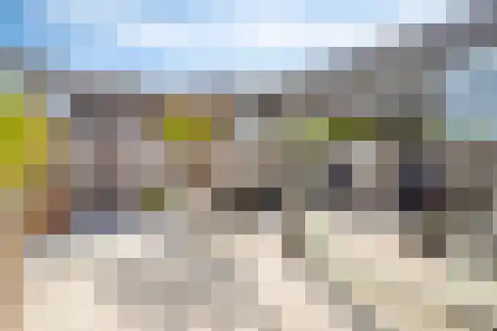 Vlasakker 28 Heino thumbnail 50
