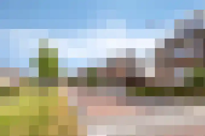 Vlasakker 28 Heino thumbnail 52