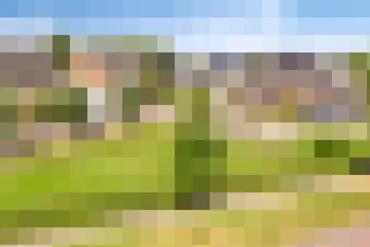 Vlasakker 28 Heino thumbnail 53
