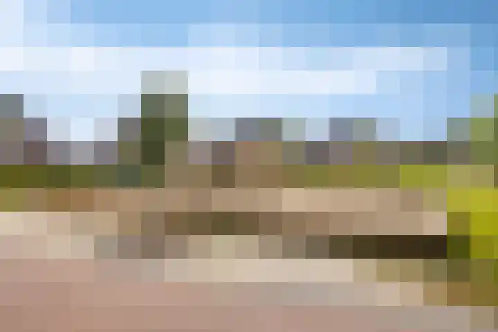 Vlasakker 28 Heino thumbnail 54