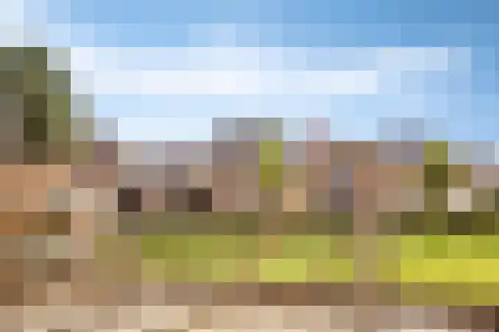 Vlasakker 28 Heino thumbnail 55