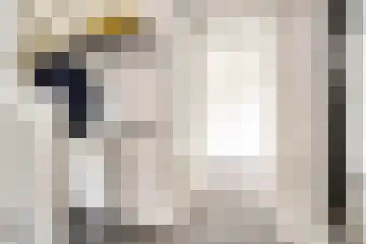 Vlasakker 28 Heino thumbnail 6