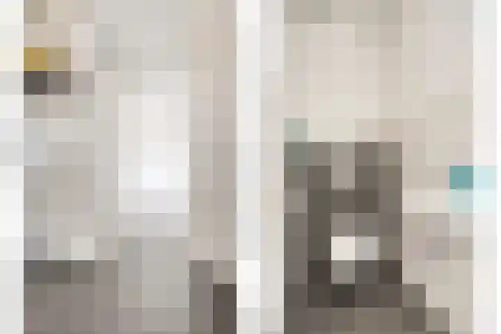 Vlasakker 28 Heino thumbnail 7