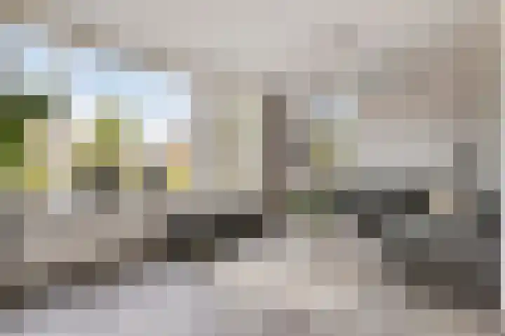 Vlasakker 28 Heino thumbnail 9
