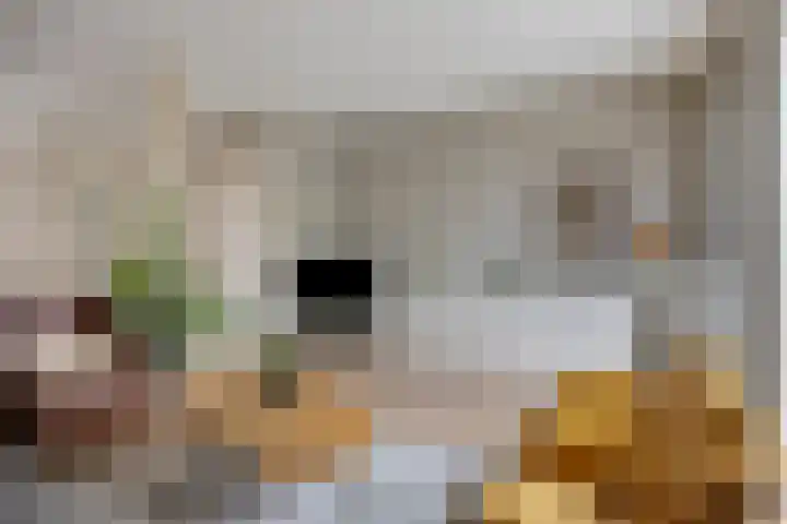 Vlasakker 3 Zoetermeer thumbnail 10