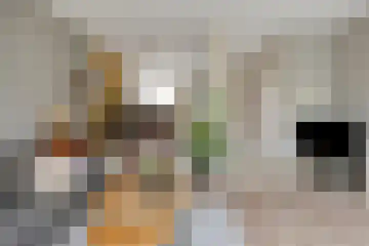Vlasakker 3 Zoetermeer thumbnail 12